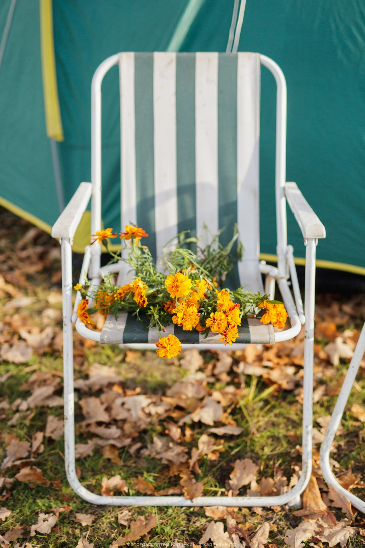 Пикник на краю осени. Коля и Женя. Октябрь 2016. Фотограф городских и семейных событий Артем Карпухин