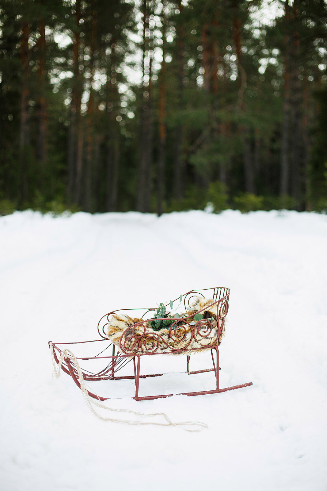 Иван и Женя зима 2016. Фотограф городских и семейных событий Артем Карпухин