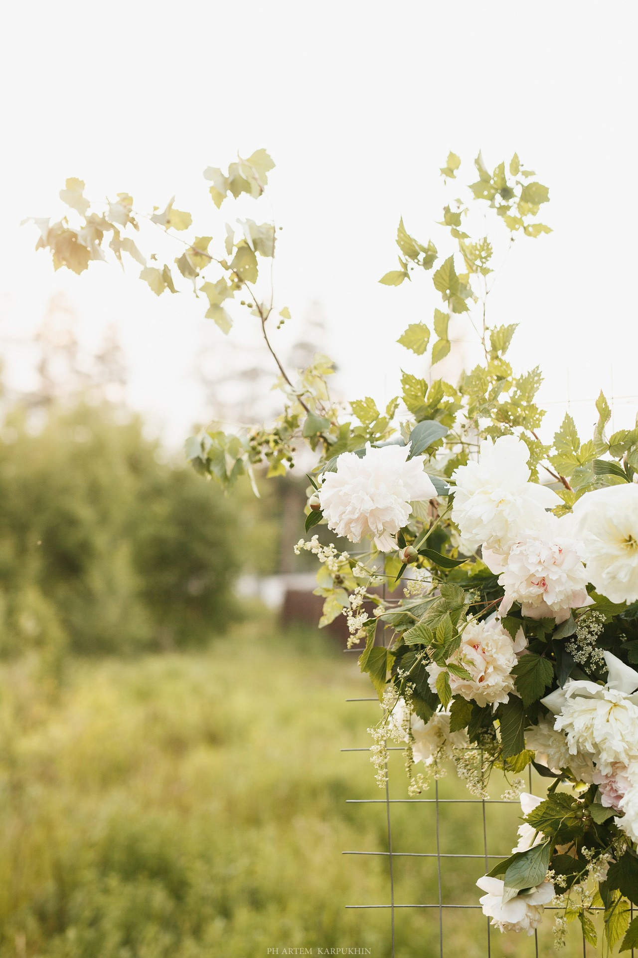 Никита и Надежда июнь 2018. Фотограф городских и семейных событий Артем Карпухин