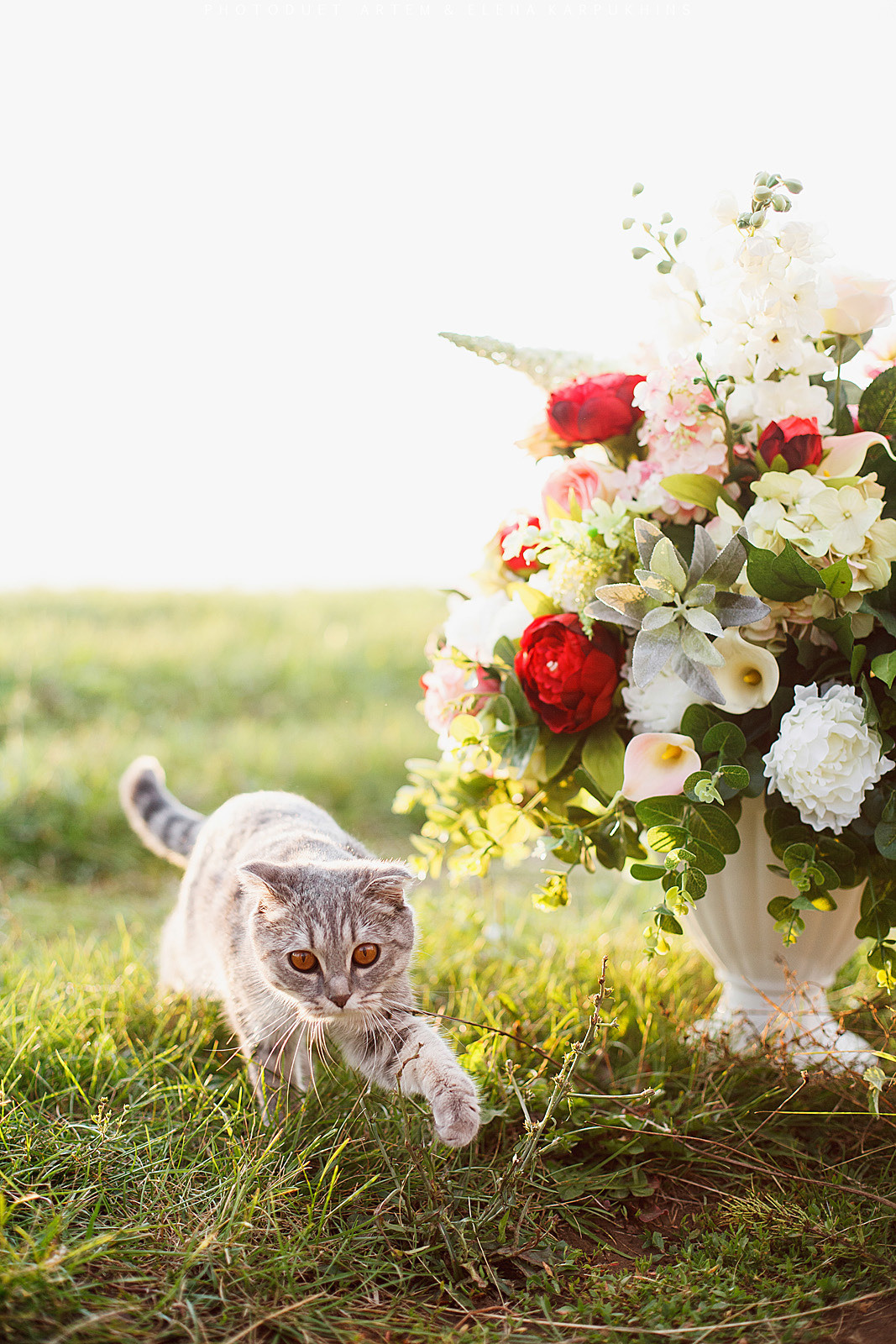 #SummerHarmony. Фотограф городских и семейных событий Артем Карпухин