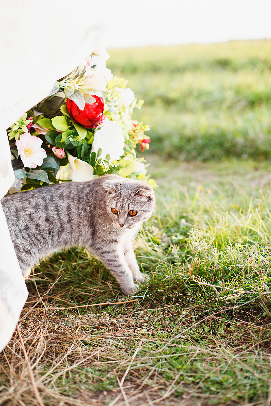 #SummerHarmony. Фотограф городских и семейных событий Артем Карпухин
