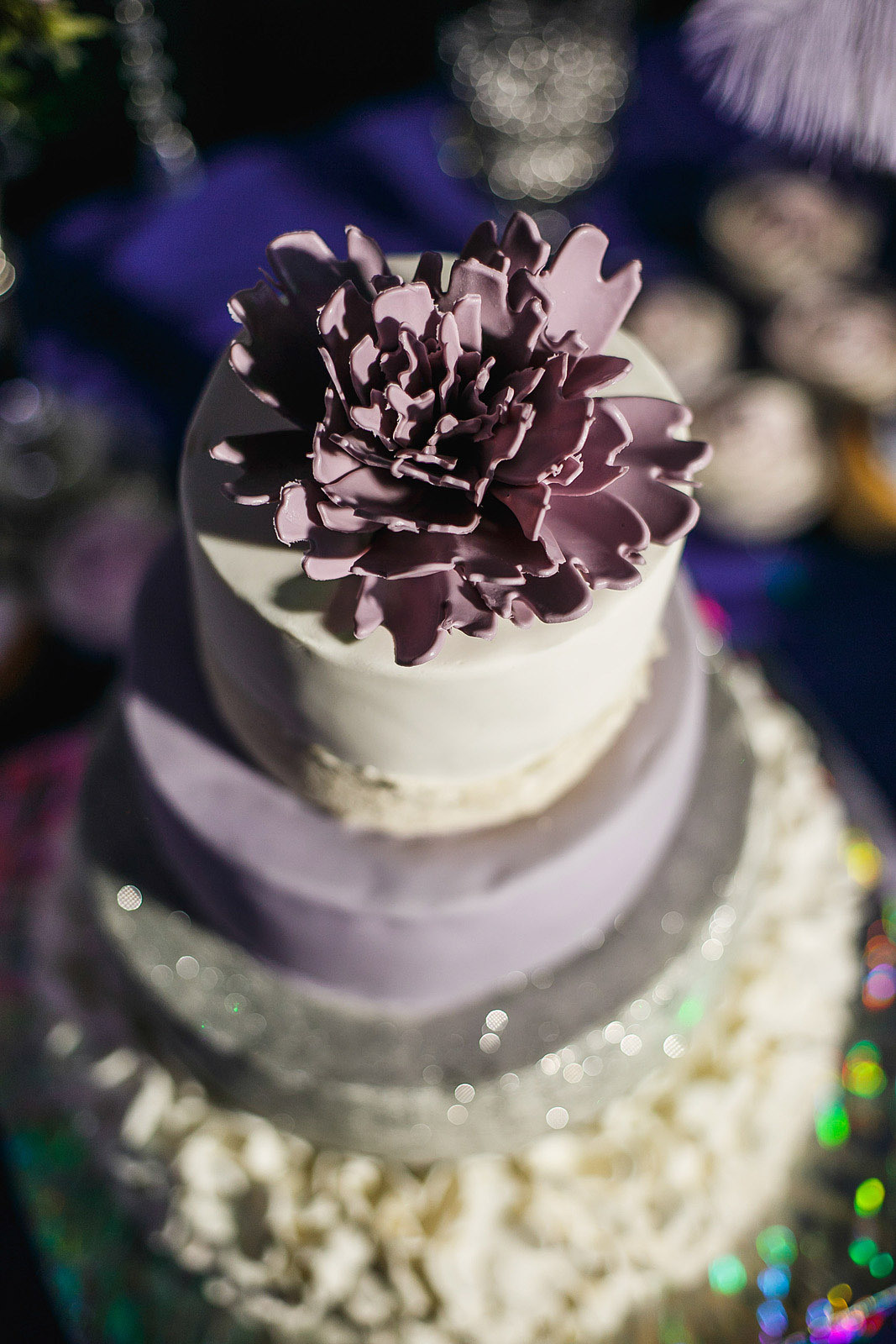 Николай и Анастасия 8.01.16. Фотограф городских и семейных событий Артем Карпухин