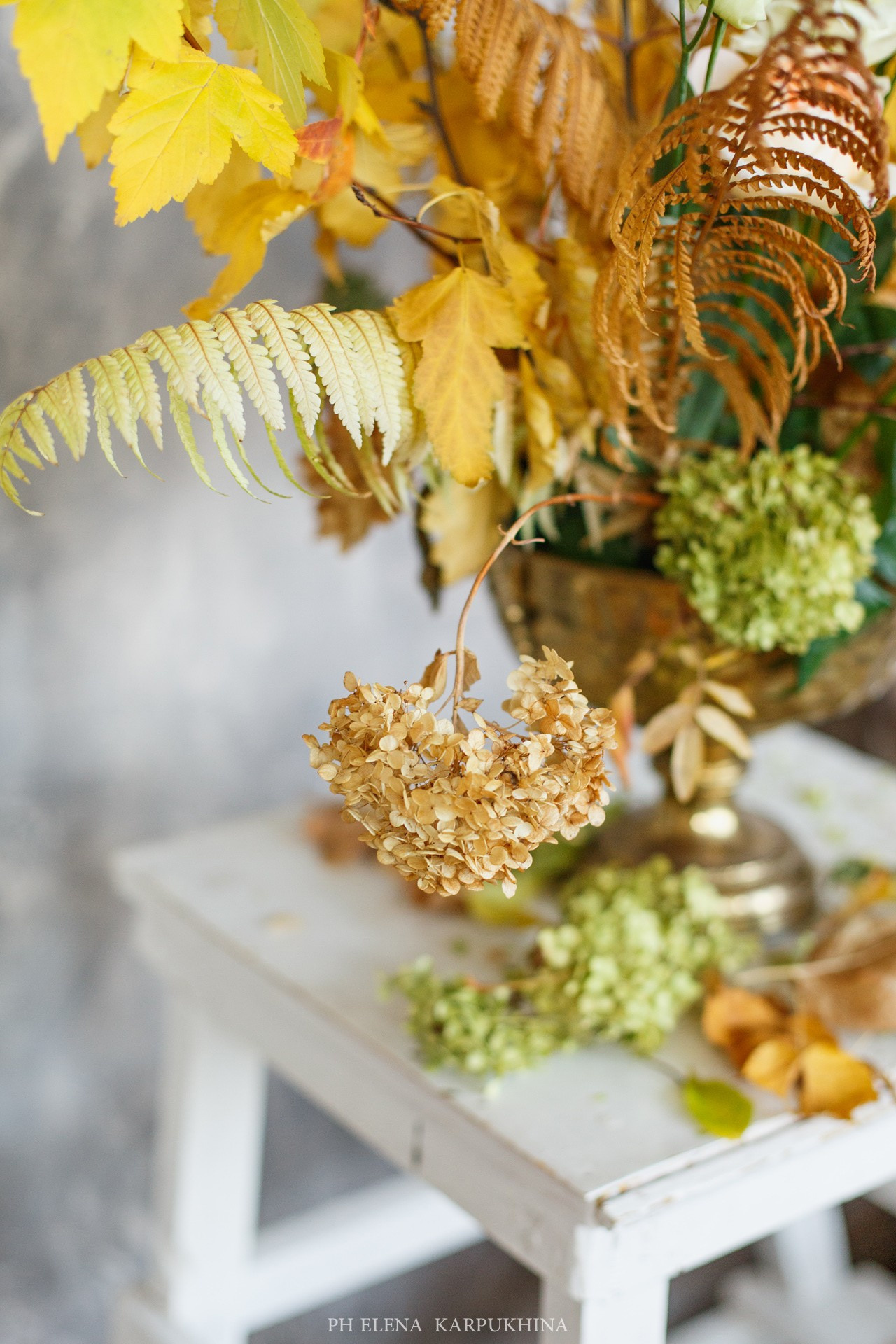 Сны Осени. Фотограф городских и семейных событий Артем Карпухин