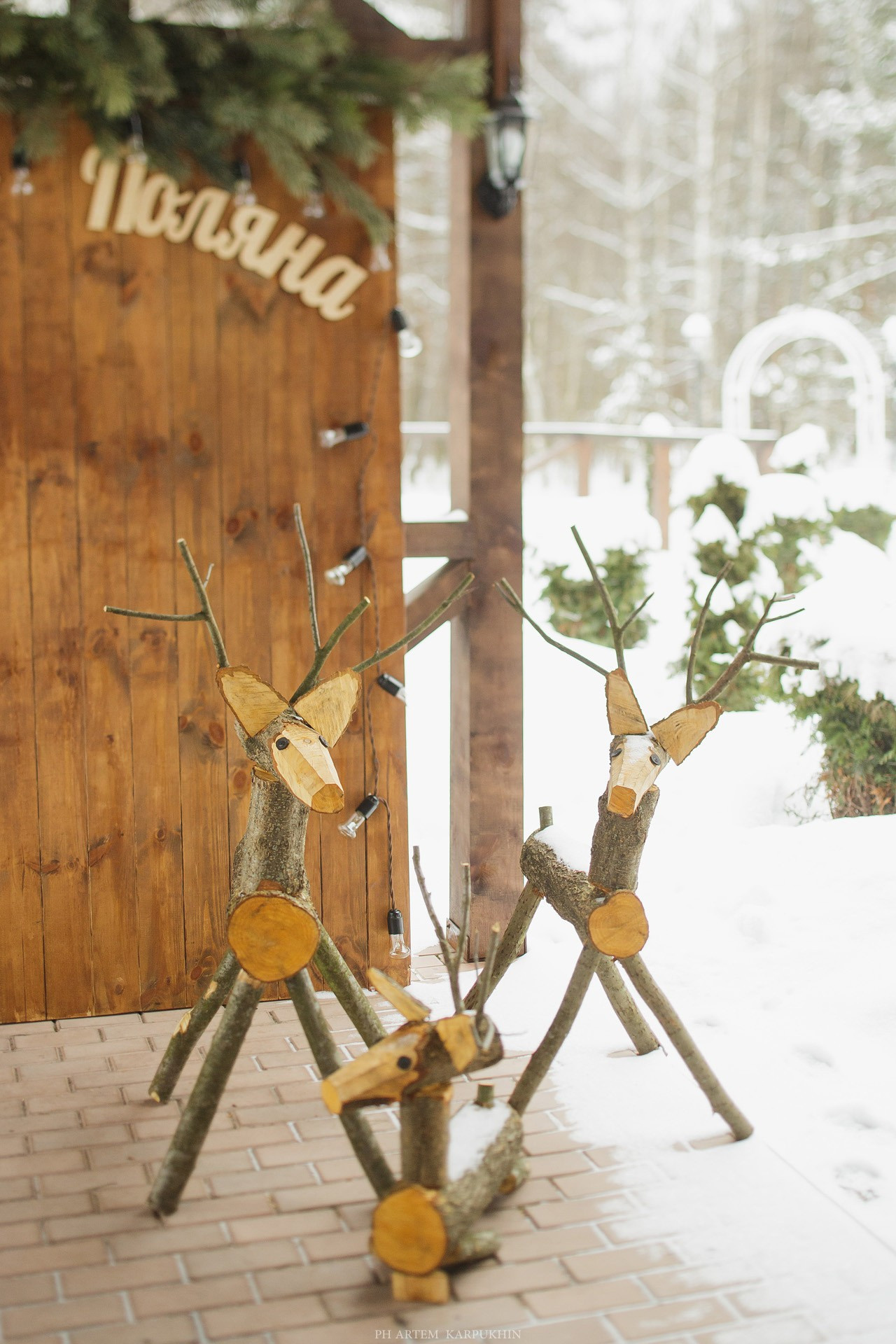 Артем и Алина. Свадебный день в Муроме зима 2018. Фотограф городских и семейных событий Артем Карпухин