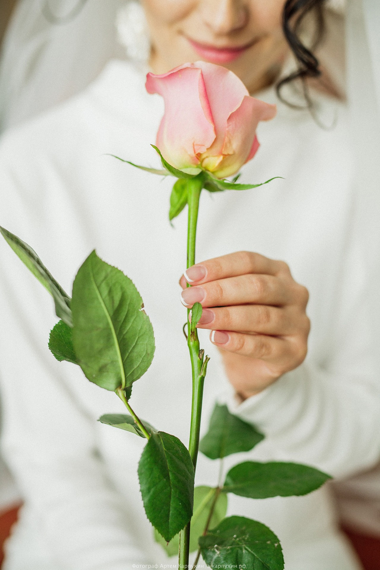 Свадьба на рождество наших близких друзей Коли и Жени 7.01.17. Фотограф городских и семейных событий Артем Карпухин