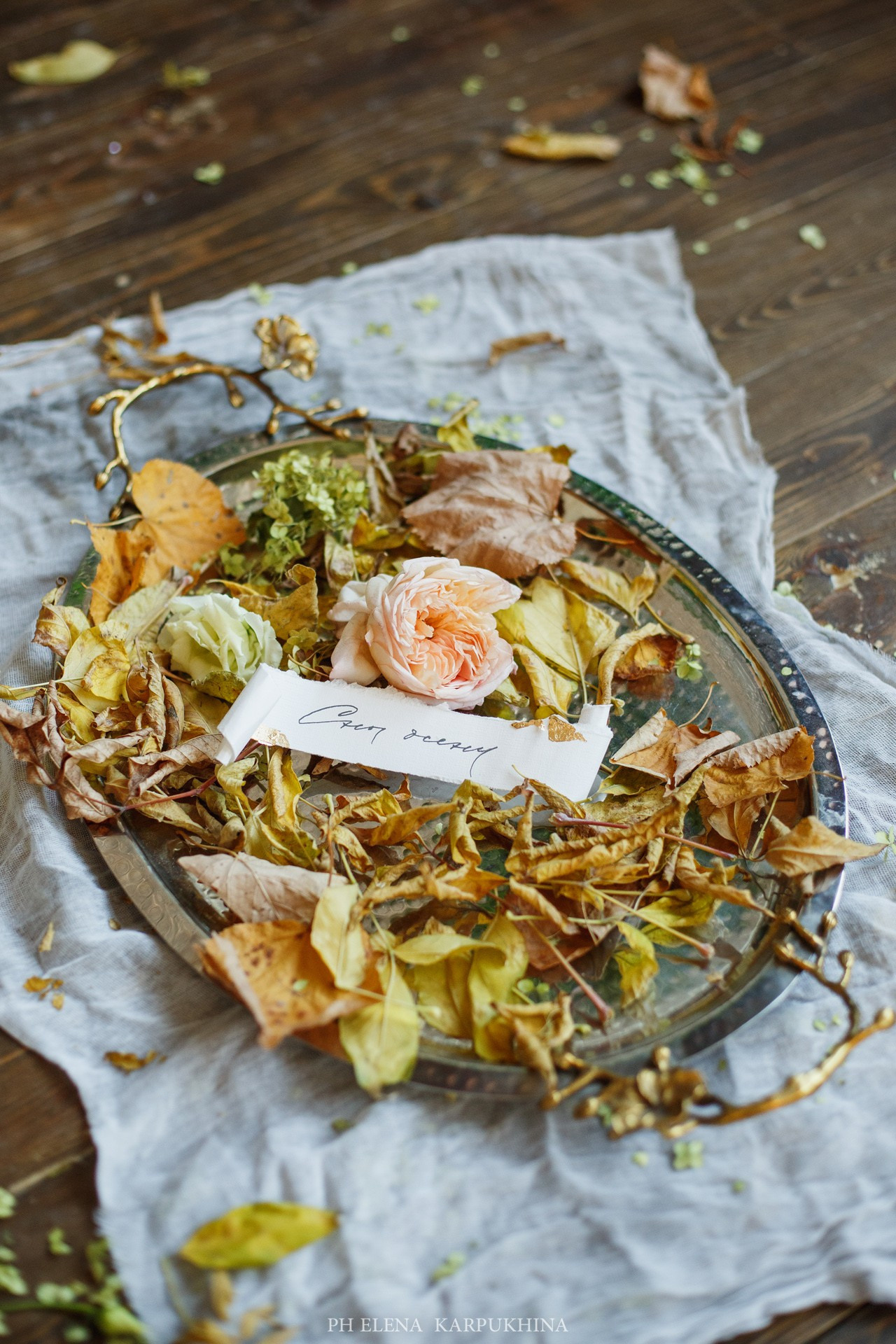 Сны Осени. Фотограф городских и семейных событий Артем Карпухин