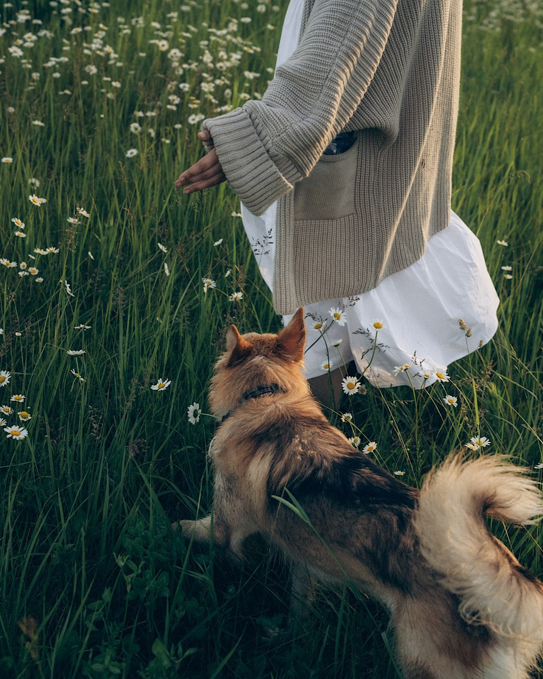 Соня и Кора. Фотограф анималист в Москве и Санкт-Петербурге Свиридова Анна