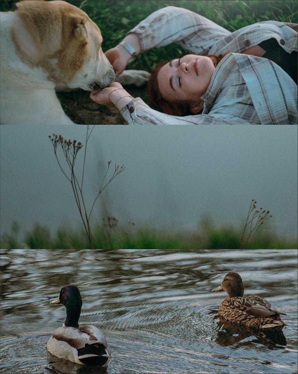 Настя и Рахат. Фотограф анималист в Москве и Санкт-Петербурге Свиридова Анна