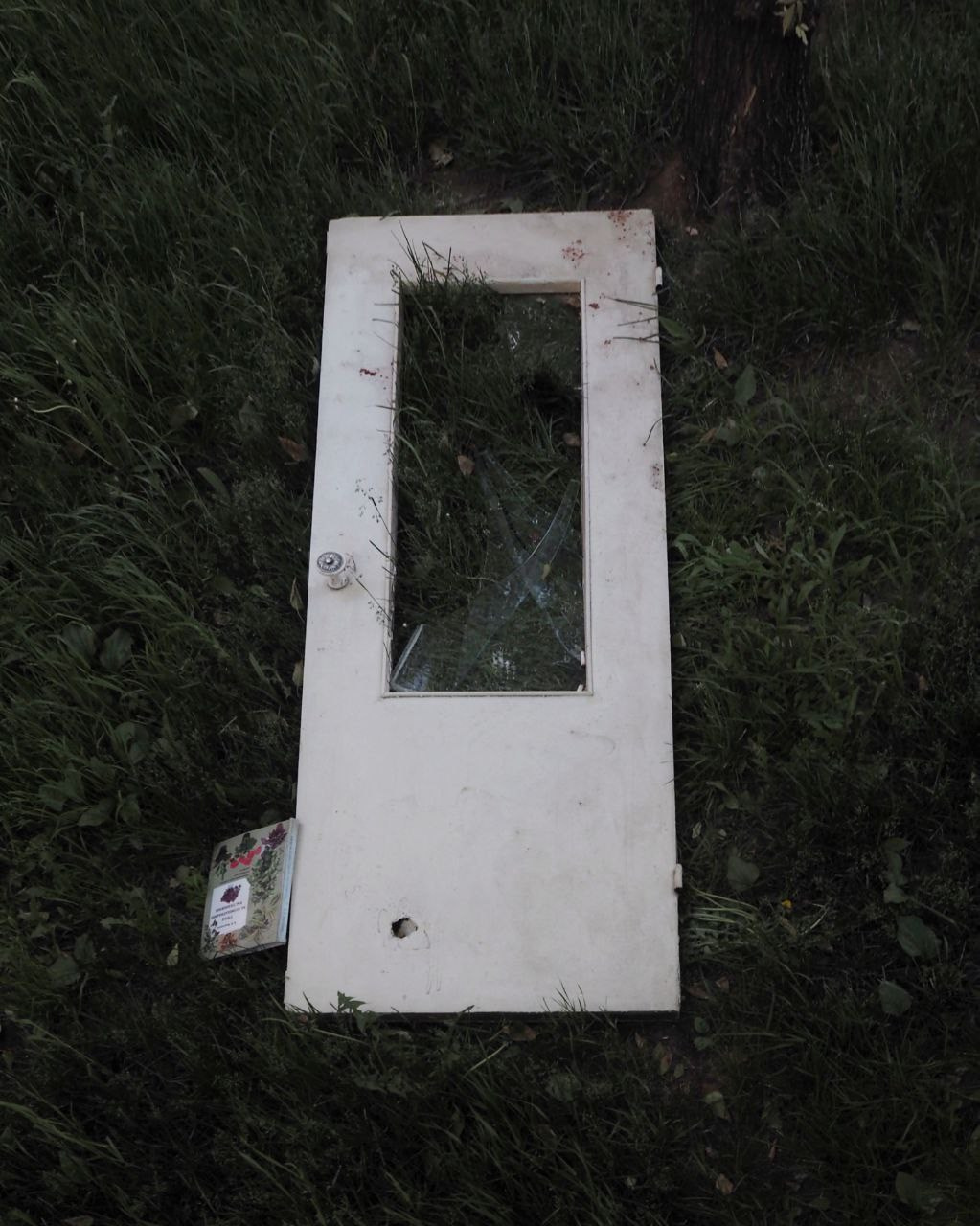 Из сердца лесополосы. Настя Арзуманова, фотограф