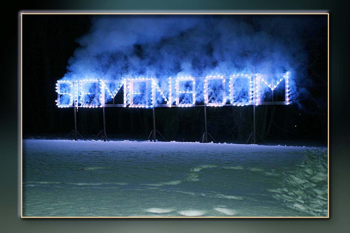 Корпоратив Сименс Новый год. Skazka.wfolio.pro