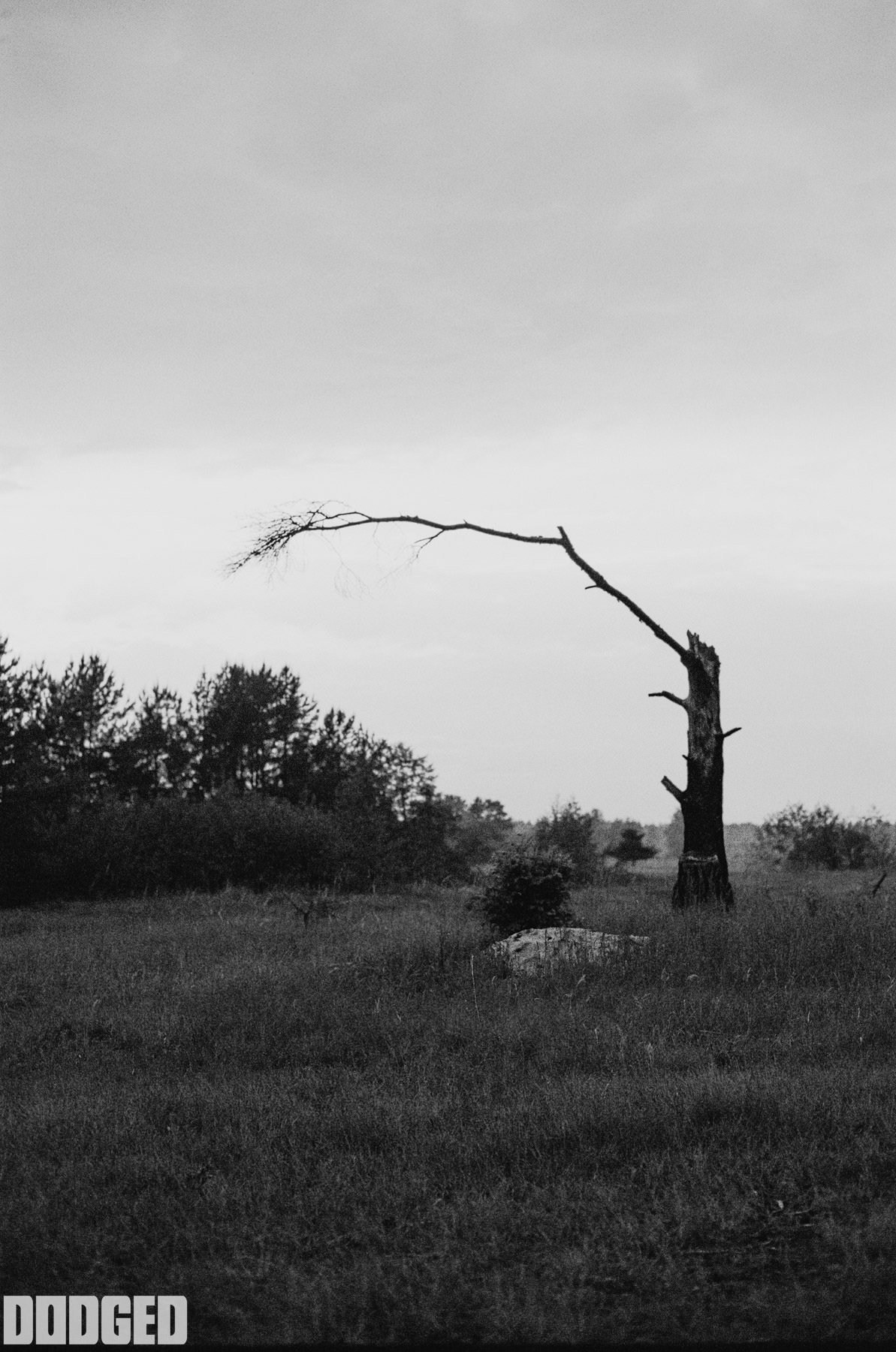 ЖУРНАЛЫ. Bauman Olga