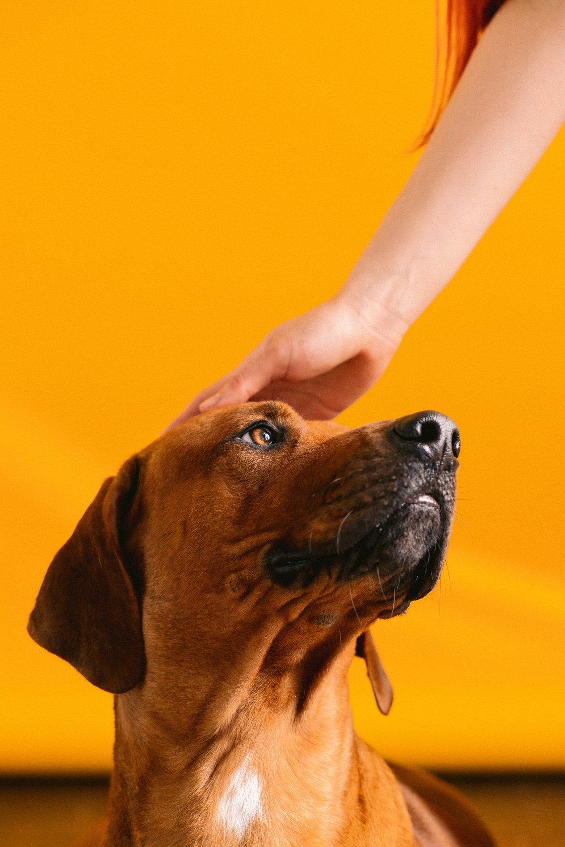 Виктория и Клинч