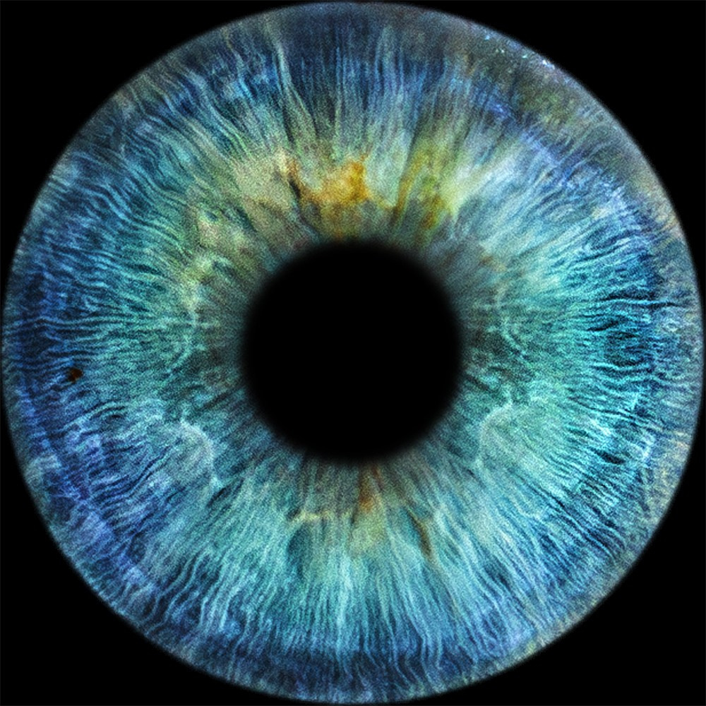 Примеры фото. Фото радужки глаза LOOK IN