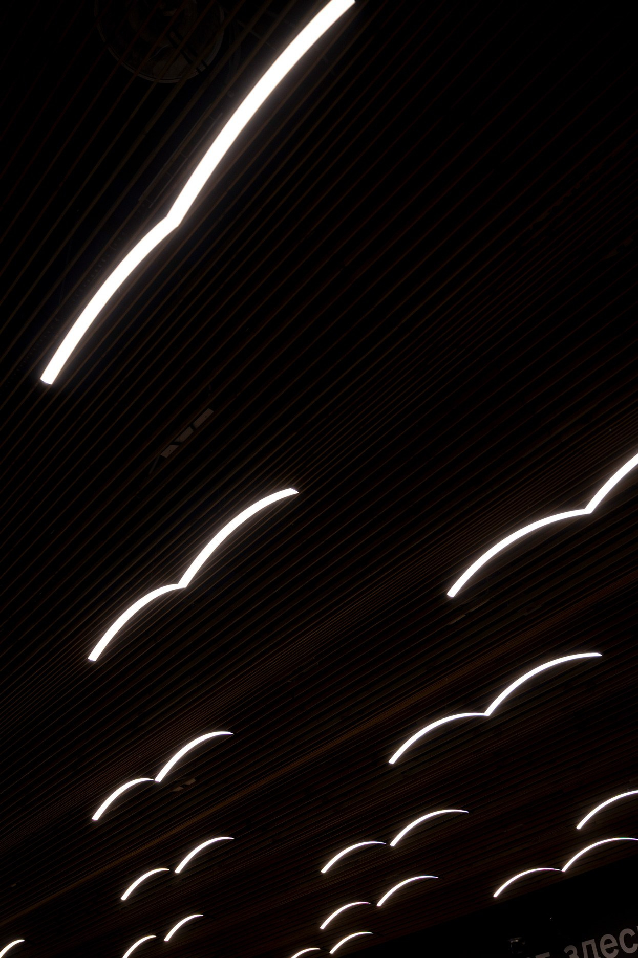 Российская креативная неделя. Фотограф для бизнеса Антон Горин