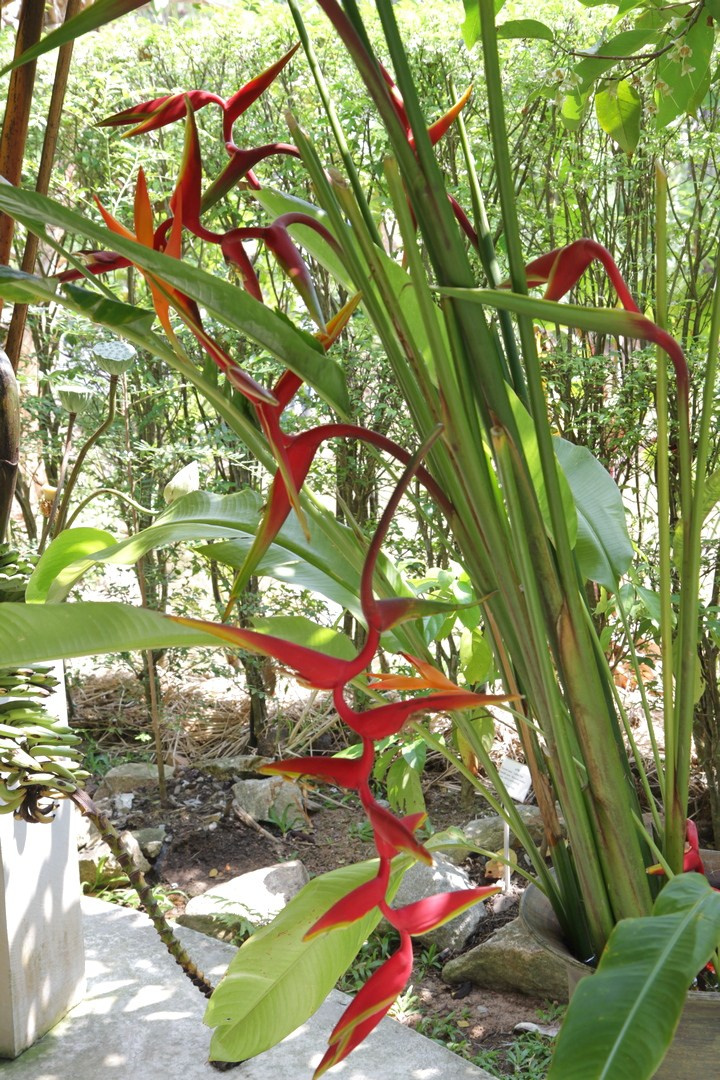 Тайланд 2014 г. Улица, люди, жизнь…