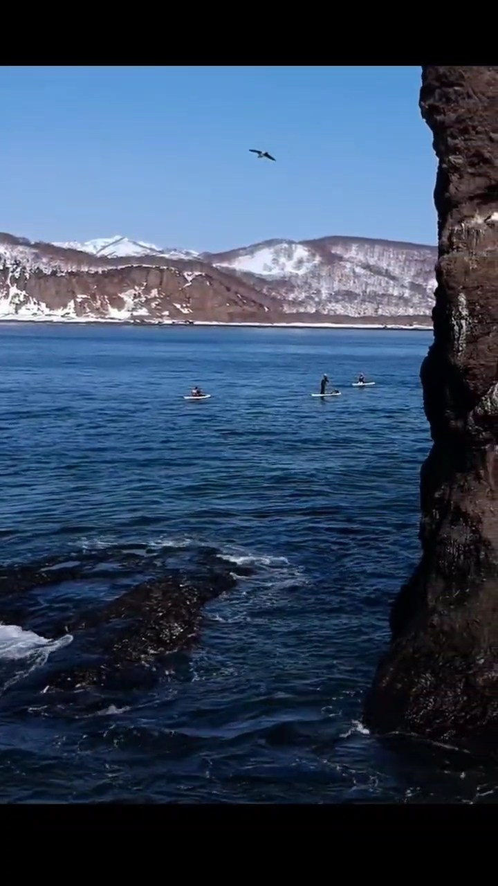 Морская прогулка к острову Старичков. Экскурсионные туры по Камчатке