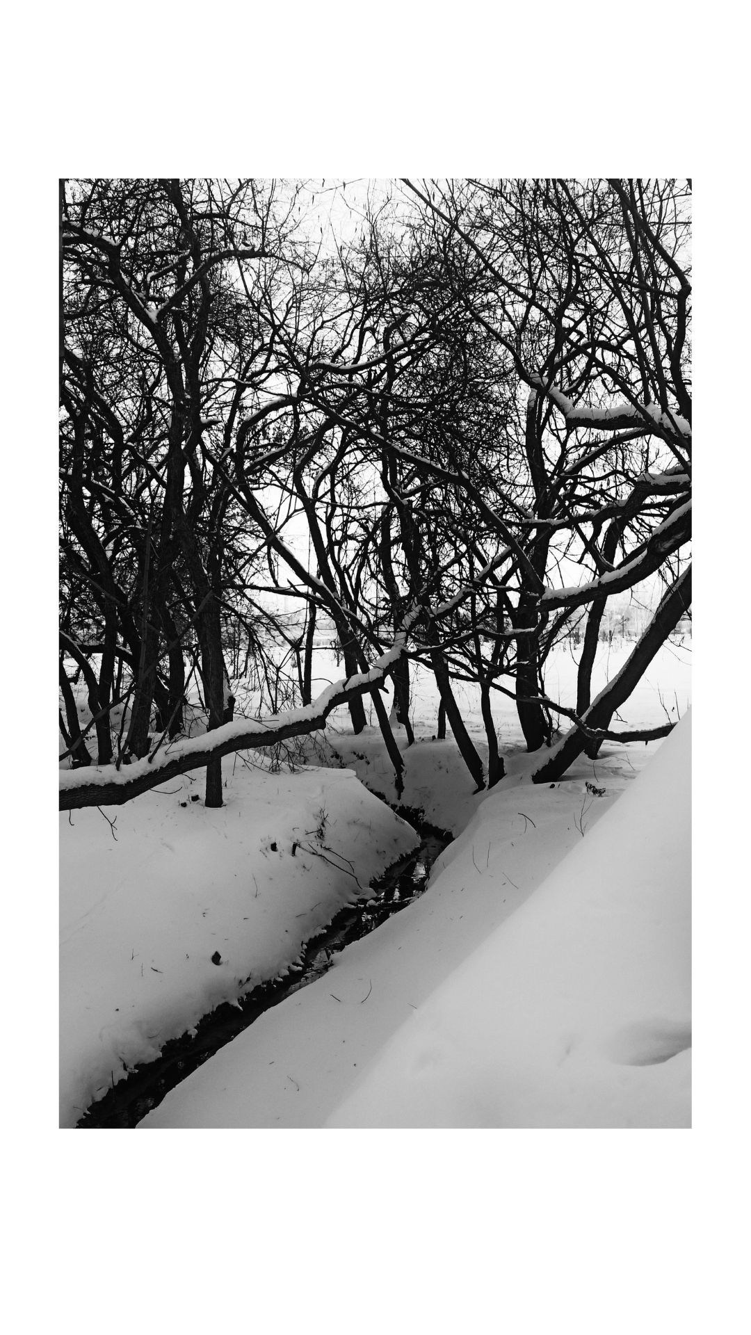 Зима по-сибирски. Главная