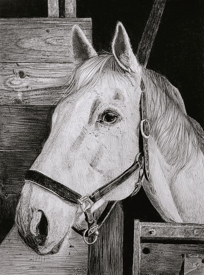 Финч Татьяна Николаевна. Галерея участников Российской Премии Искусств