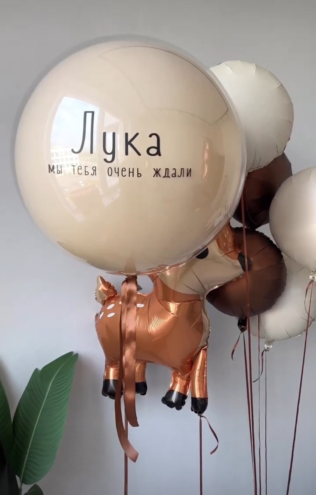 Выписка. Аэродизайнер Елена Лин