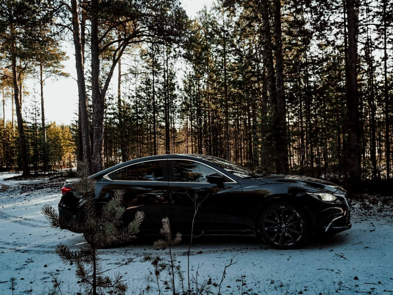 Фотосессия «Тандем инь‑ян: Mazda & Lexus». Душевный фотограф в Ноябрьске