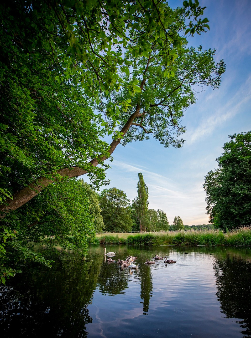 Braunschweig park. Фото о жизни