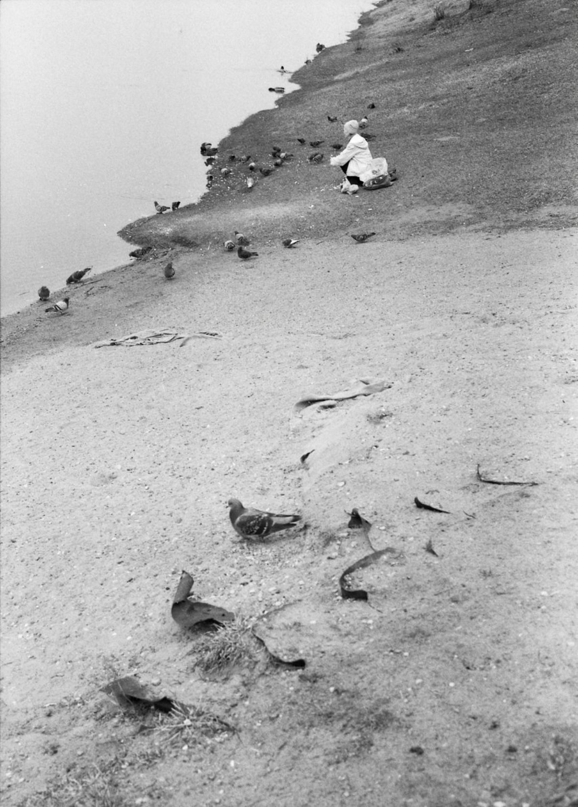 Выставка «Строчка за строчкой. Хокку глазами фотографов». Фотограф Юлия Близнецова