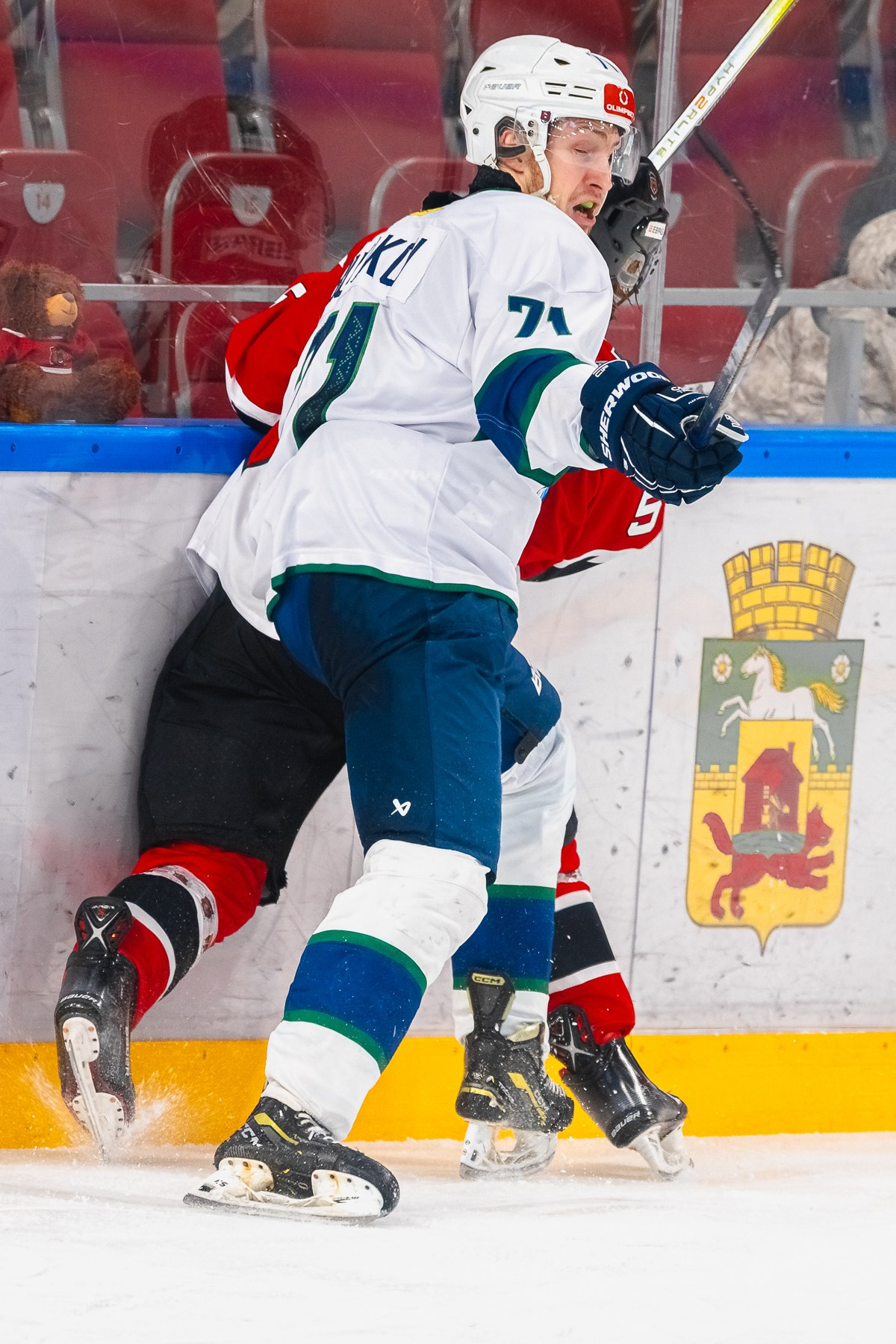 Медведи-Мамонты Югры. ProfotoNK