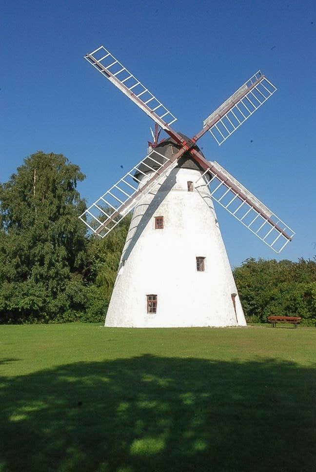 Природа и животные. Творческий фотограф Ирина Баландина.  Санкт-Петербург, Мурманск