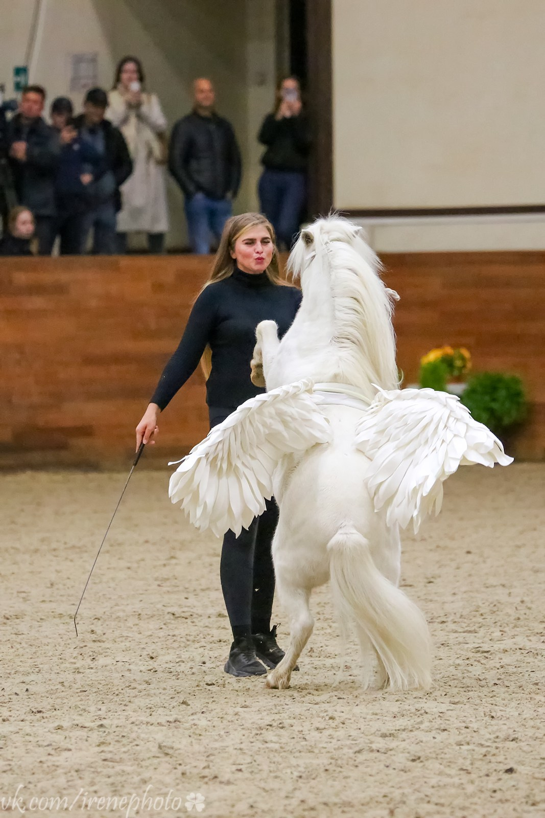 Конная Россия 2023. Irenephoto.ru