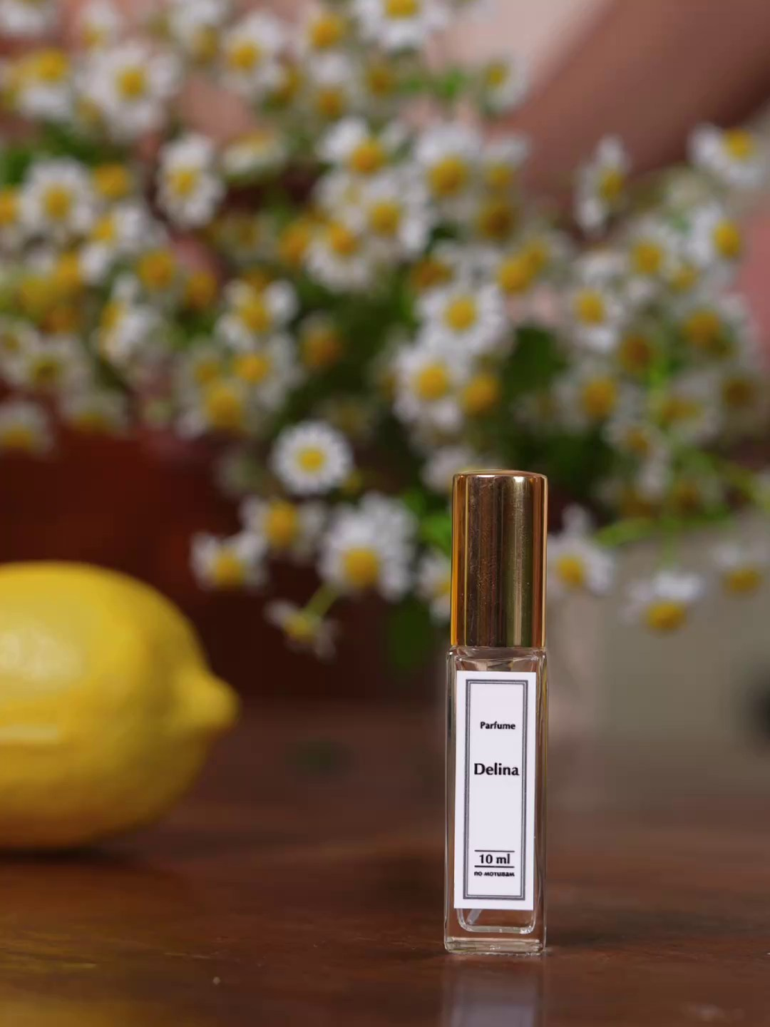 Marketplace видео. Видеограф Москва | Видеограф Антон