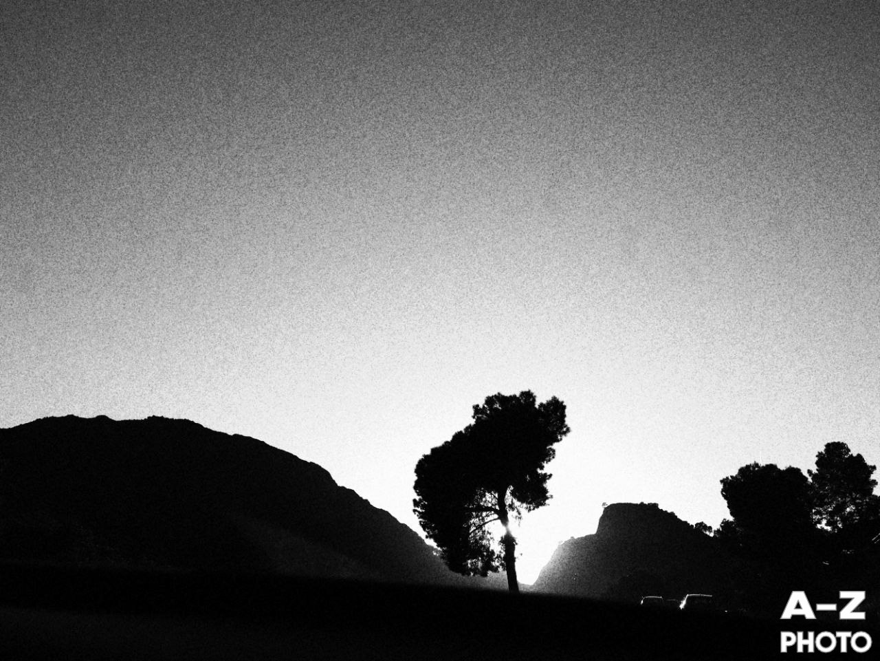 #ФОТОНЕДЕЛИ 12.01.2026. Женский семейный фотограф Тула Москва Захарова Анна