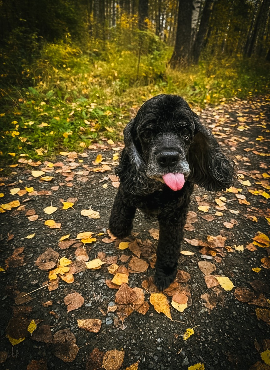 Animals. Danna Dark. Фотограф | Красноярск