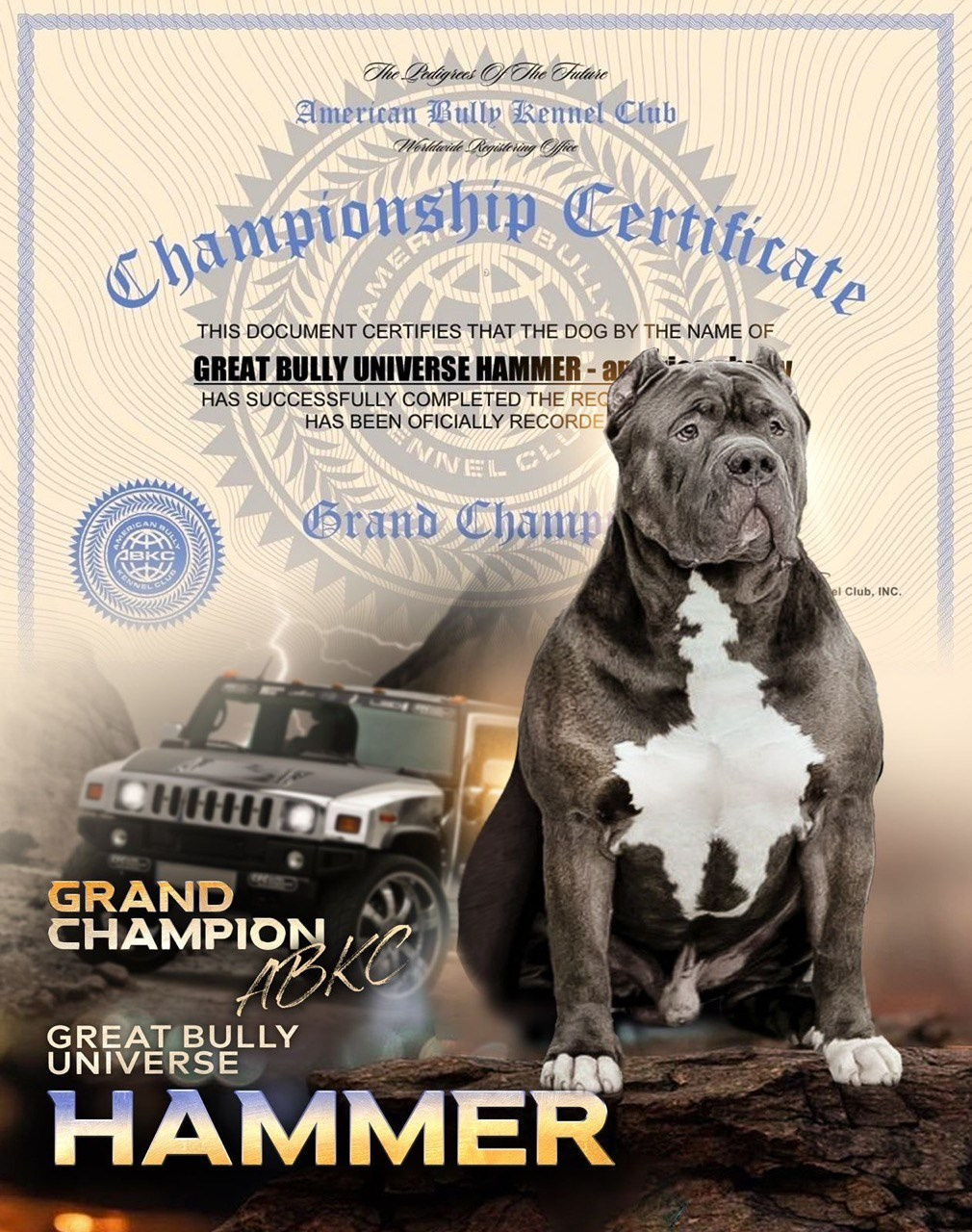 Щенок American Bully мерль XL	в Нижнем Новгороде, щенок American Bully мраморный окрас XL	в Нижнем Новгороде, щенок American Bully с разными глазами XL	в Нижнем Новгороде, щенок Американский булли разноцветный XL	в Нижнем Новгороде, щенок Американский булли мраморный окрас XL	в Нижнем Новгороде, 