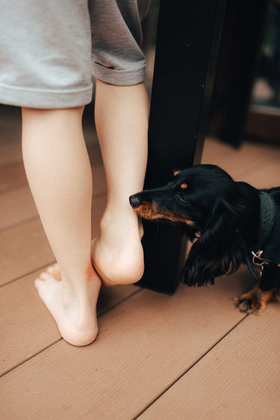 Коля, Ксюша, Саша, Андрей, Кира и бабушки | на даче