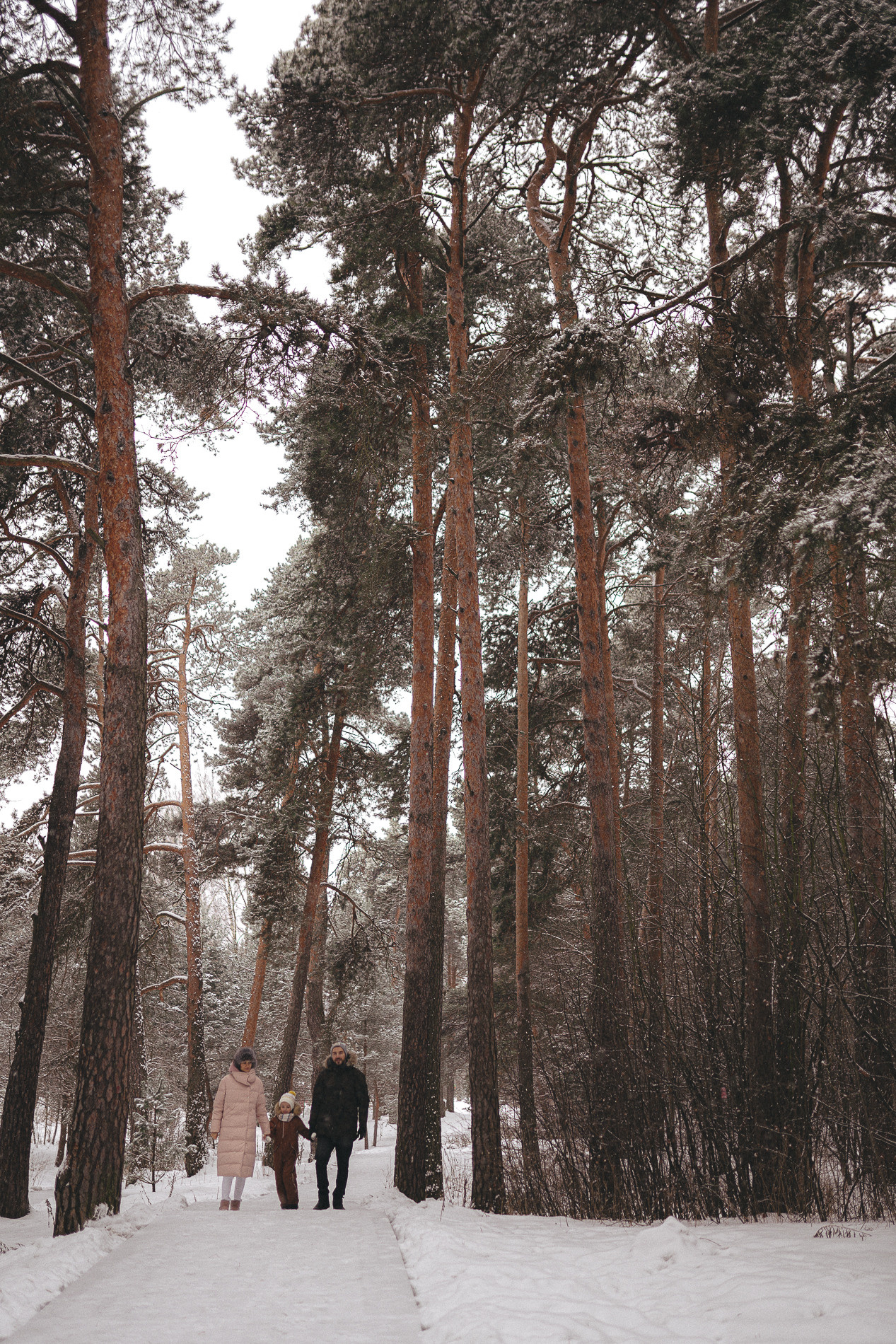В зимнем лесу. Фотограф Москва Семейные фотосессии Детские фотосессии