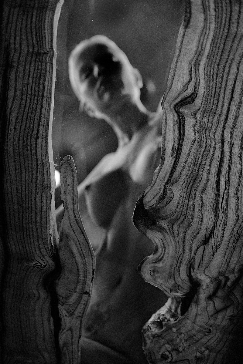 2019. Фотограф Вячеслав Потемкин Москва