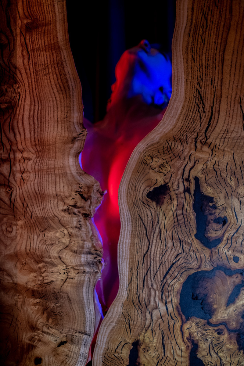 2019. Фотограф Вячеслав Потемкин Москва