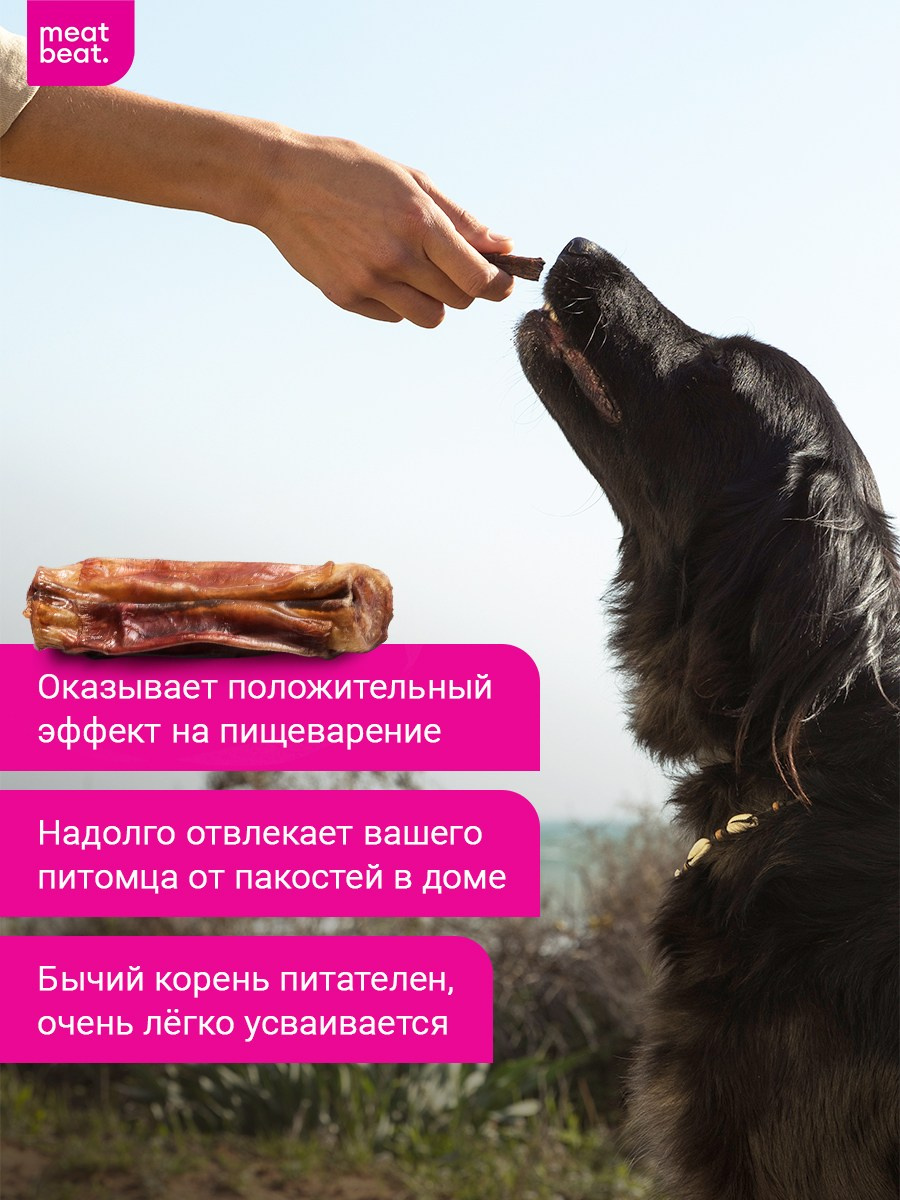 Лакомство для собак. Разработка фирменного стиля, брендбука, логотипа (логобука), инфографика для маркетплейсов, Новосибирск