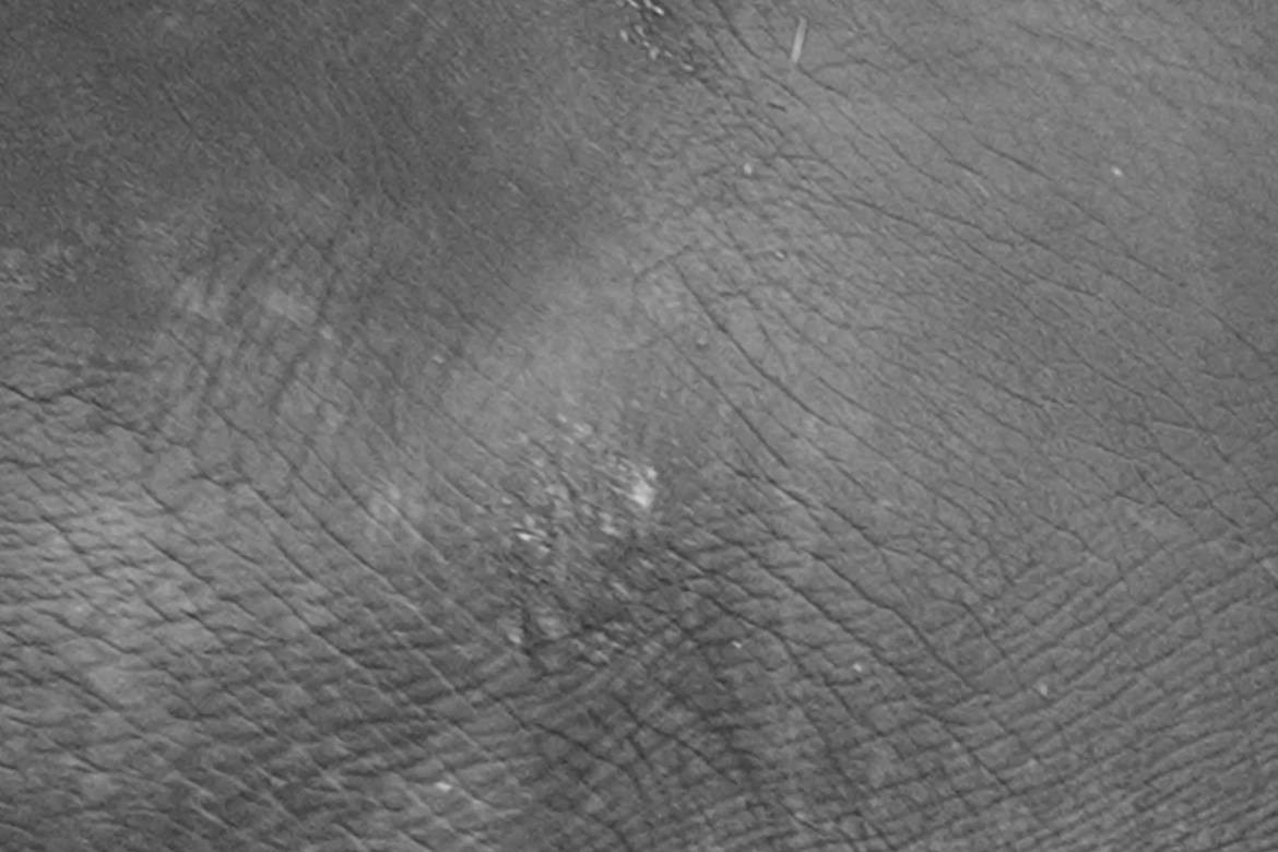 ПРЕГОЛЯ НЕ РЕКА. Художественная группа «Нежные Бабы»