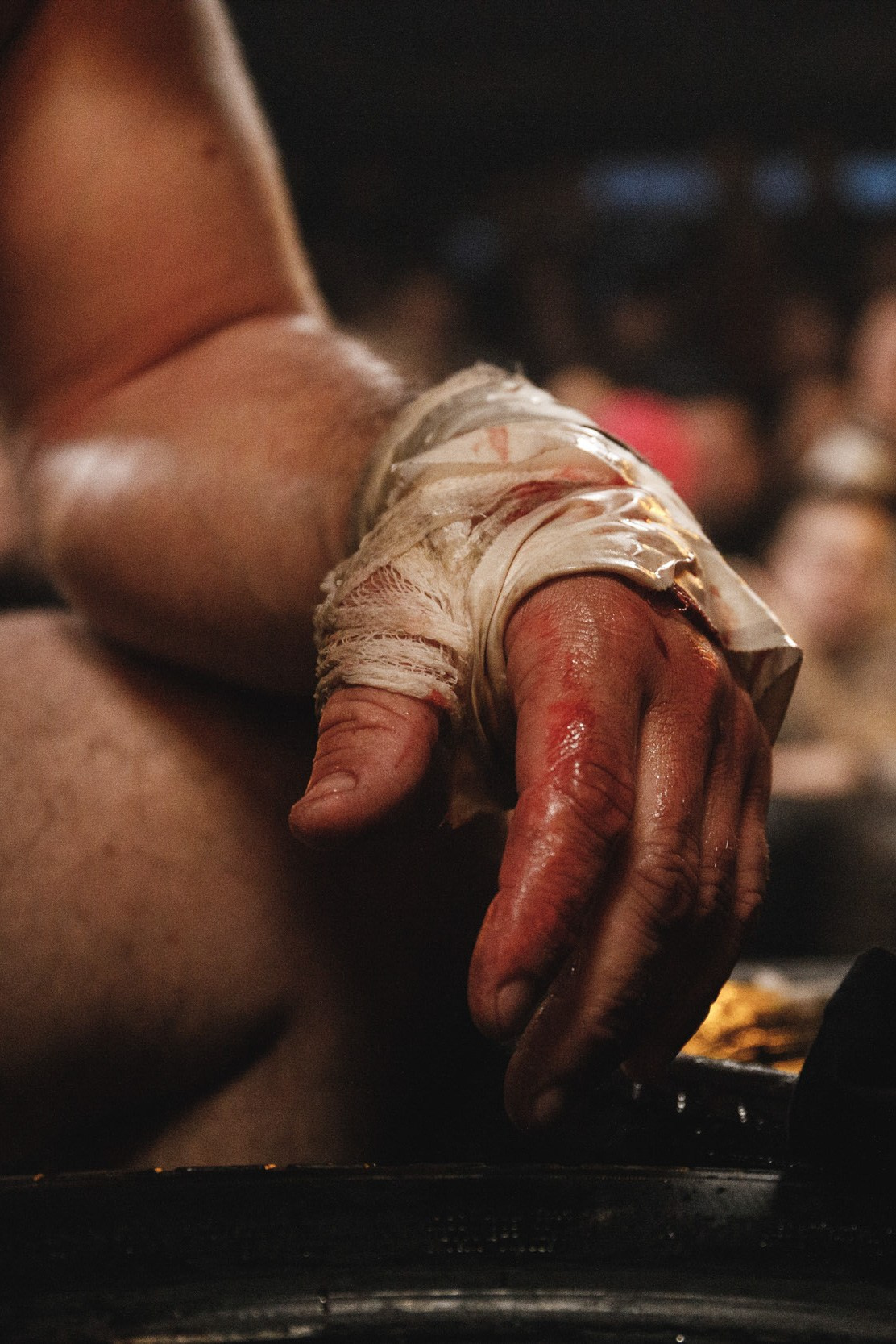 Action / Highlights. Bivol images