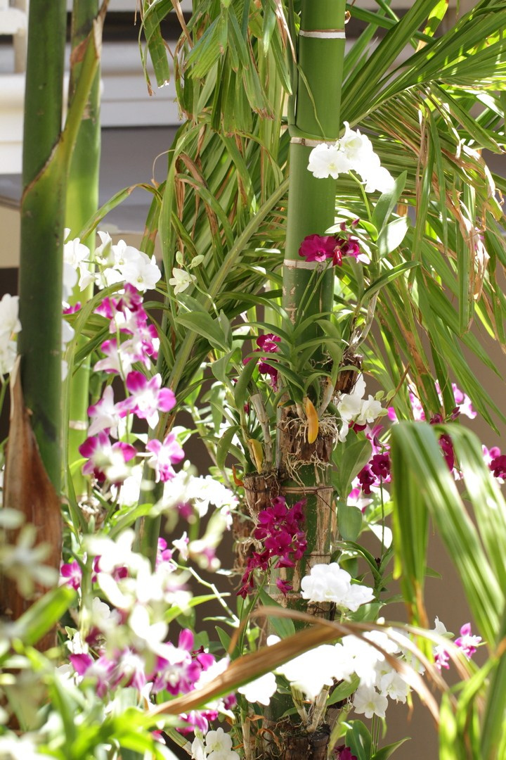 Тайланд 2014 г. Улица, люди, жизнь…