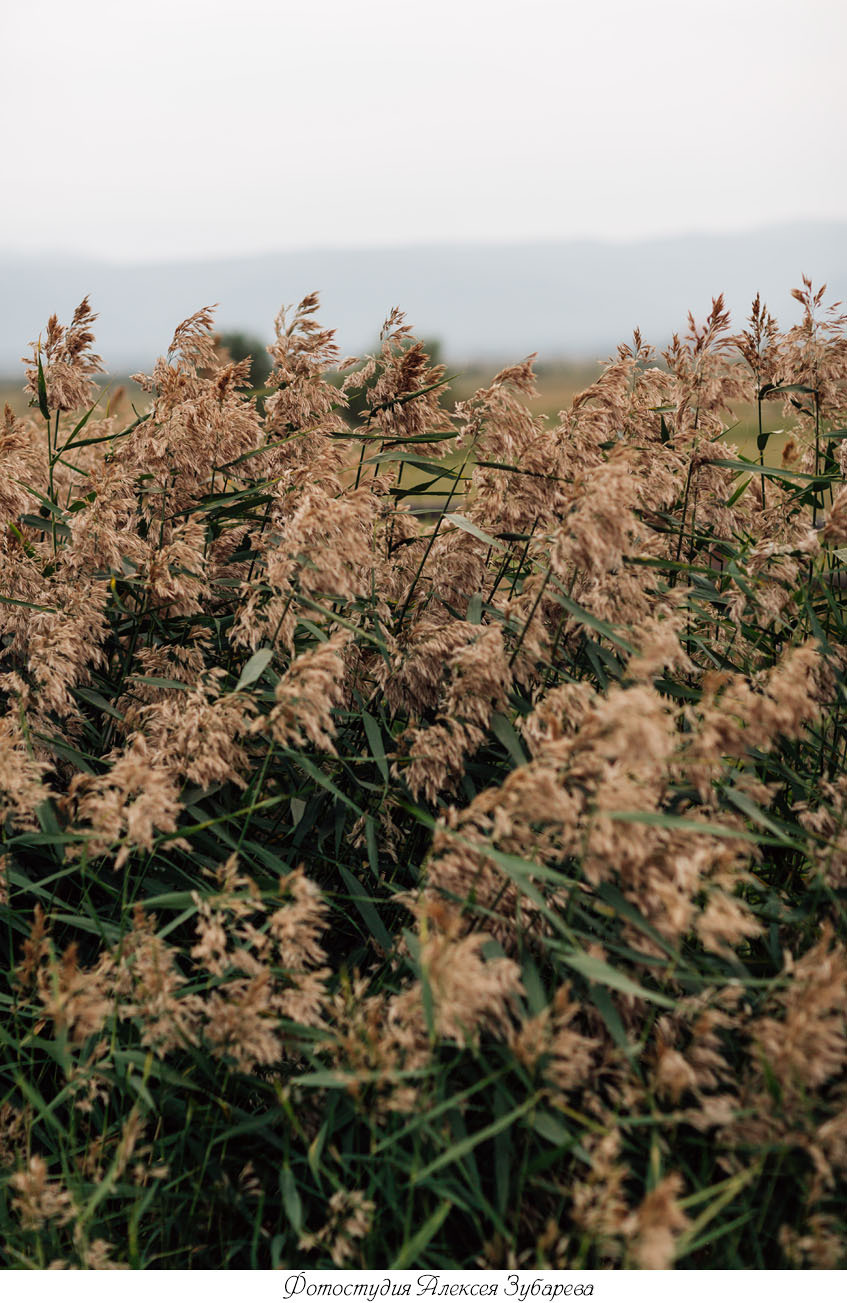 На природе. Фотостудия Сияй в Улан-Удэ