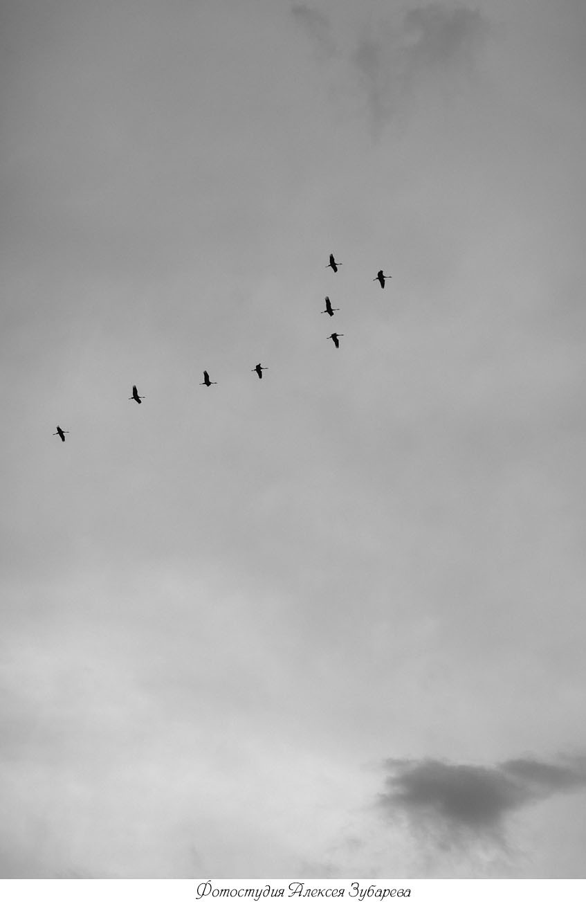 На природе. Фотостудия Сияй в Улан-Удэ