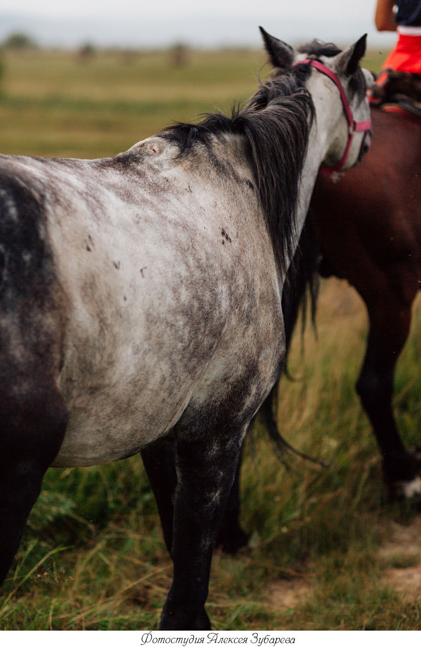 На природе. Фотостудия Сияй в Улан-Удэ