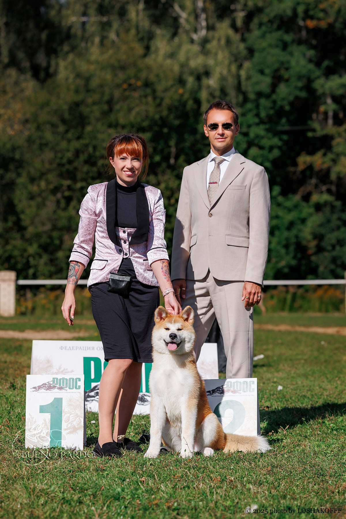 АКИТА. Kawaii Kuma питомник собак пород Корги пемброк, Акита ину, Сиба