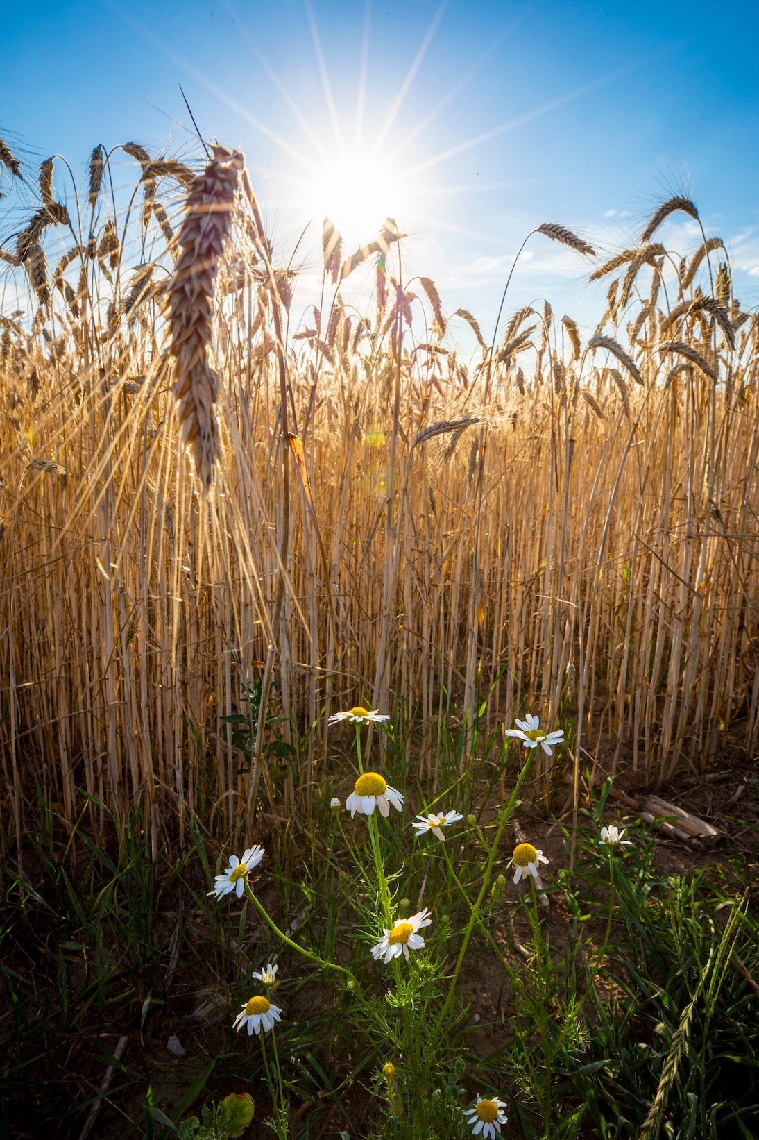 Фото о жизни