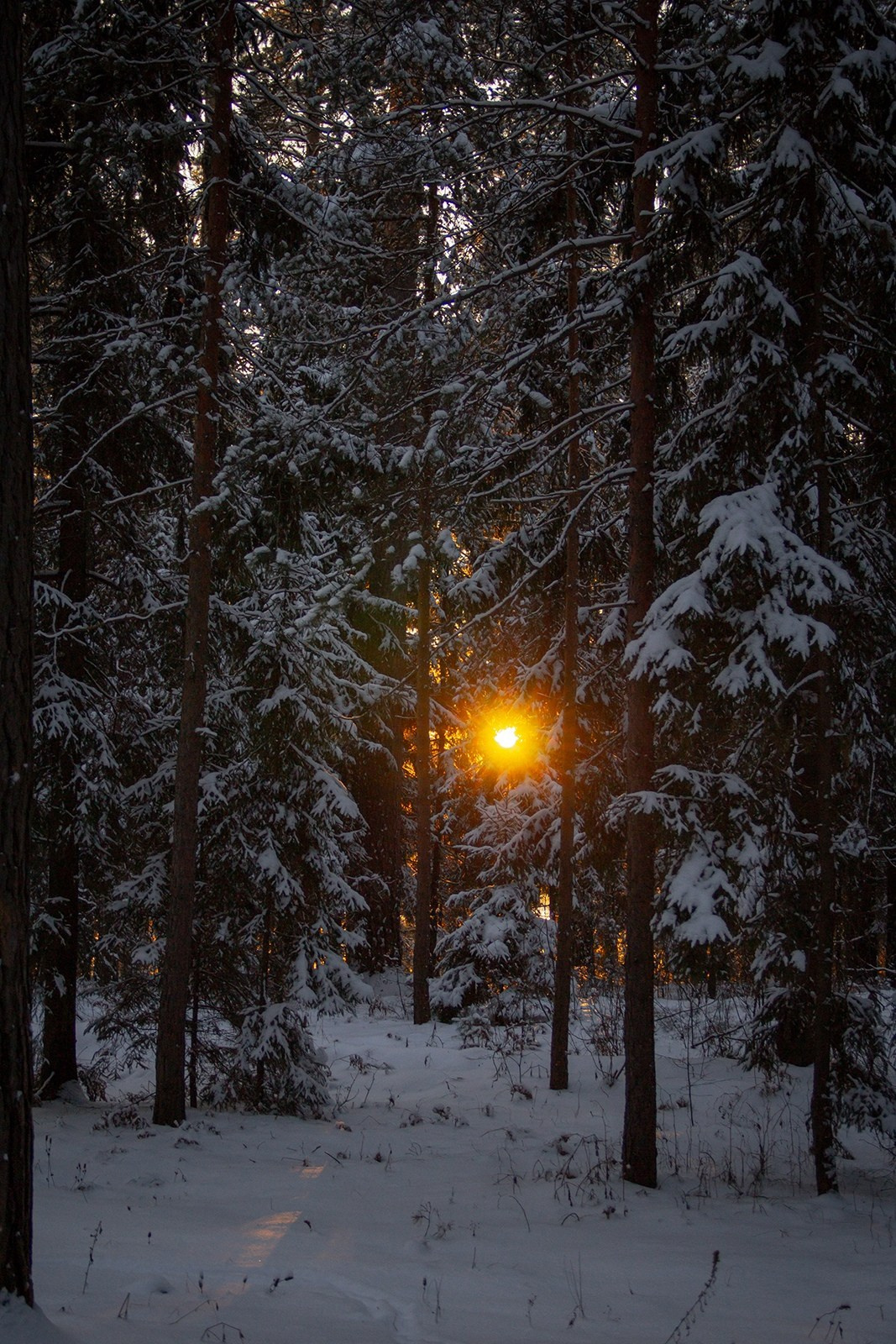 Vyksa. ФОТОГРАФ ANASTASIA KOSHELEVA