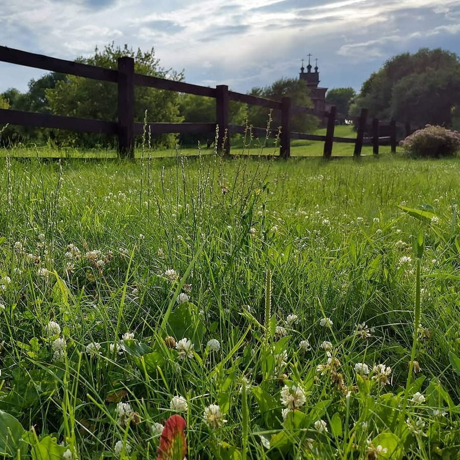 Природная фотосъёмка в парках Москвы — зелёные оазисы в большом городе