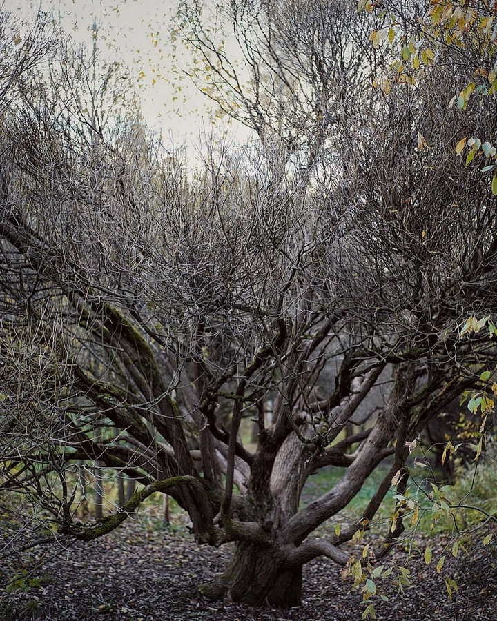 Фотосессия в парке у пруда — отражения в воде и живописные берега