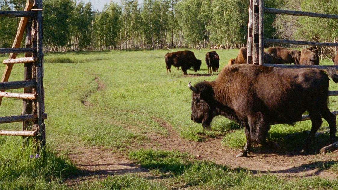 Документальный фотограф Роман Золотков. ZOLOTKOV — Барбер в Санкт-Петербурге Роман Золотков